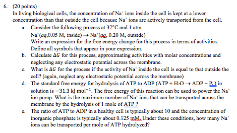 6. (20 points) In living biological cells, the | Chegg.com