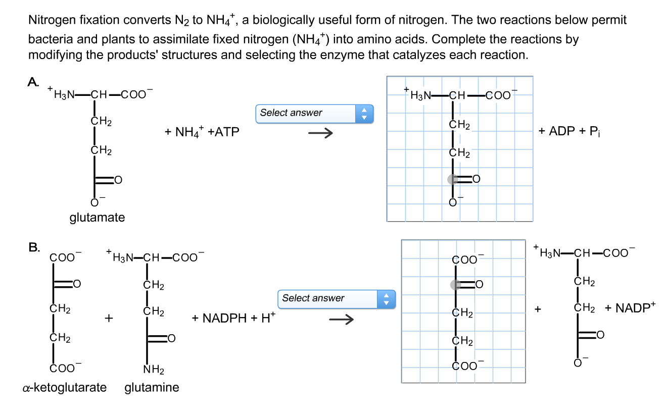 Дана схема превращений n2 x nh4 2so4 nh4cl