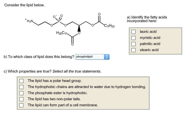 Solved Consider the lipid below. a) a) Identify the fatty | Chegg.com