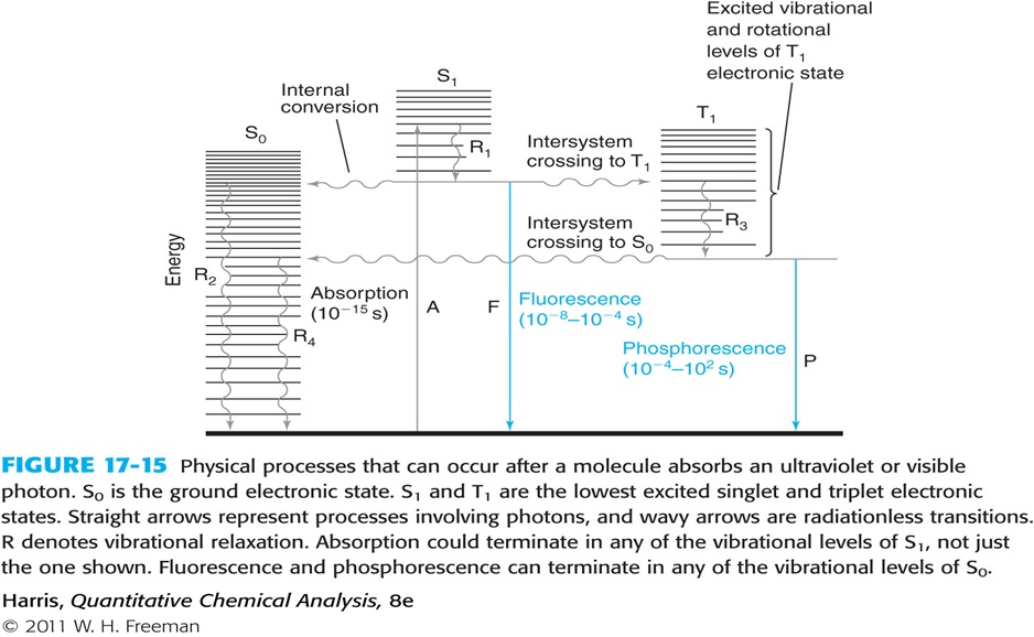 solved-what-happens-when-a-molecular-absorbs-a-photon-what-chegg