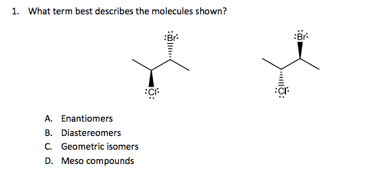 Solved What Term Best Describes The Molecules Shown Chegg