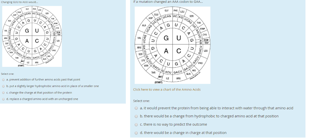 Solved Changing GUU to AUU would... a. prevent addition of | Chegg.com