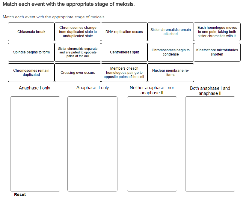 Solved Match each event with the appropriate stage of | Chegg.com