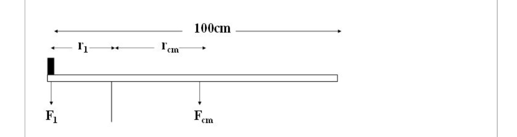 Solved A 400 g mass, m1, is balanced at the end of a 100,g | Chegg.com