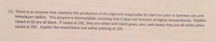 Solved There is an enzyme that catalyzes the production of | Chegg.com