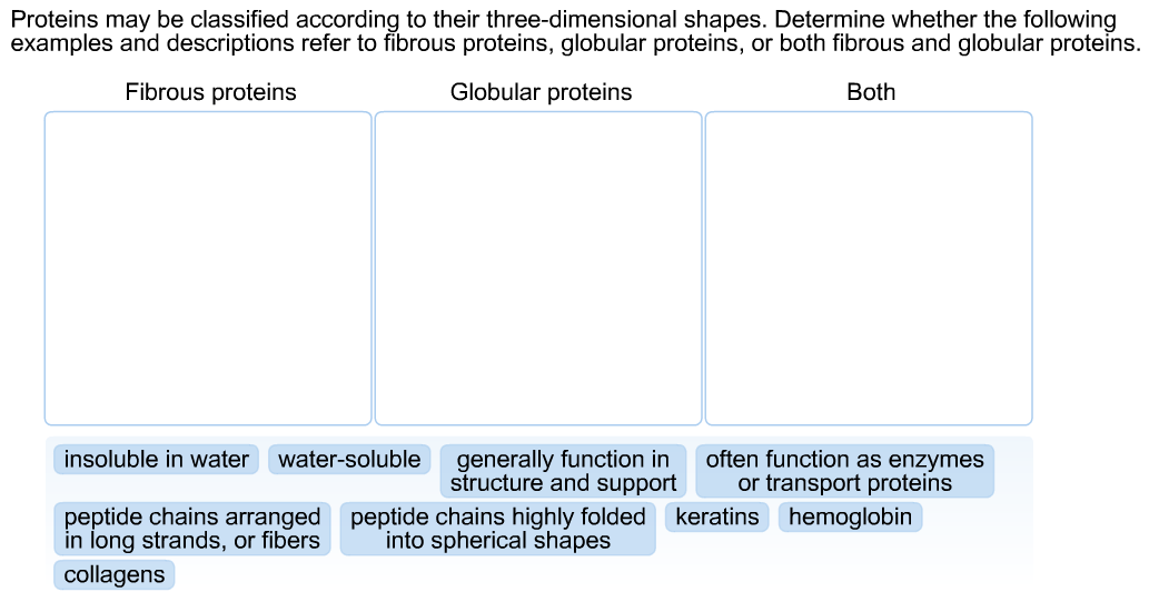 Proteins may be classified according to their