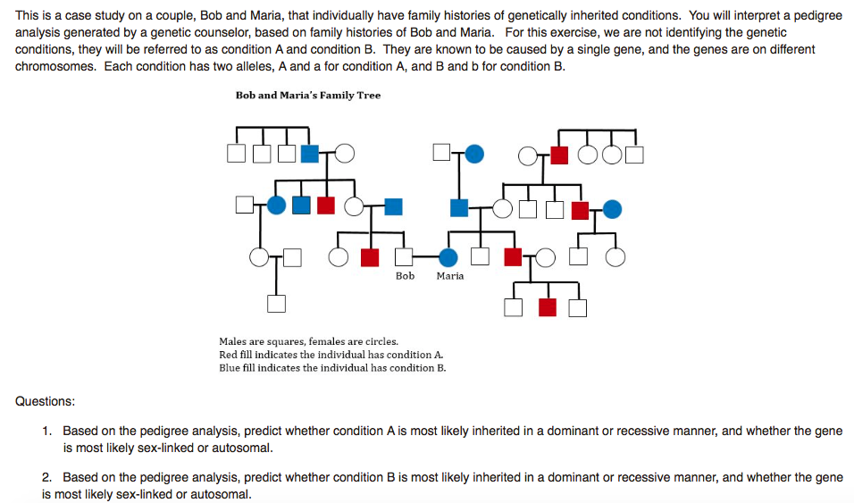 Solved This is a case study on a couple, Bob and Maria, that | Chegg.com