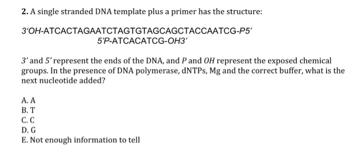 Solved A single stranded DNA template plus a primer has the | Chegg.com