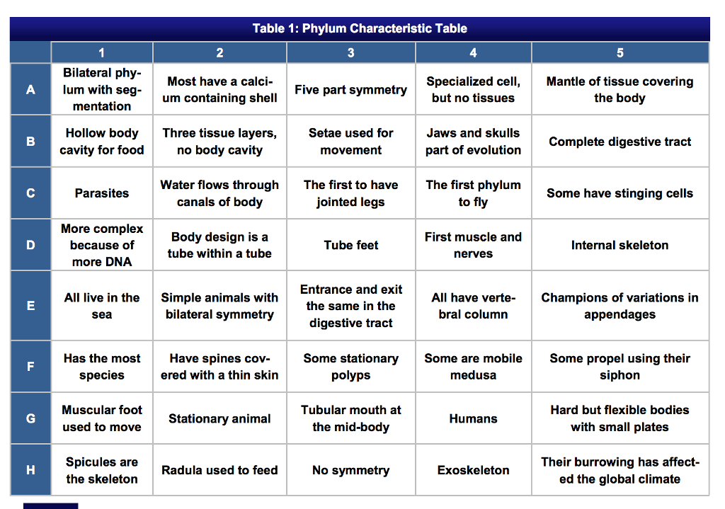 Animal Phylum Characteristics Chart