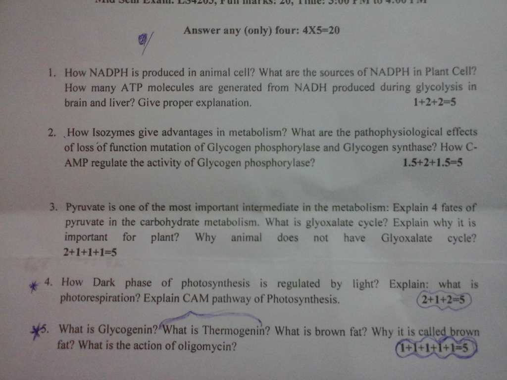 solved-how-nadph-is-produced-in-animal-cell-what-are-the-chegg