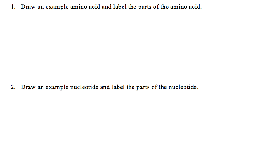 Solved 1. Draw an example amino acid and label the parts of | Chegg.com