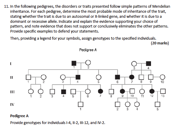 Solved 11 In The Following Pedigrees The Disorders Or 2191