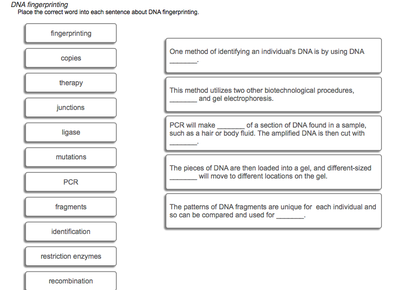 Solved DNA fingerprinting Place the correct word into each