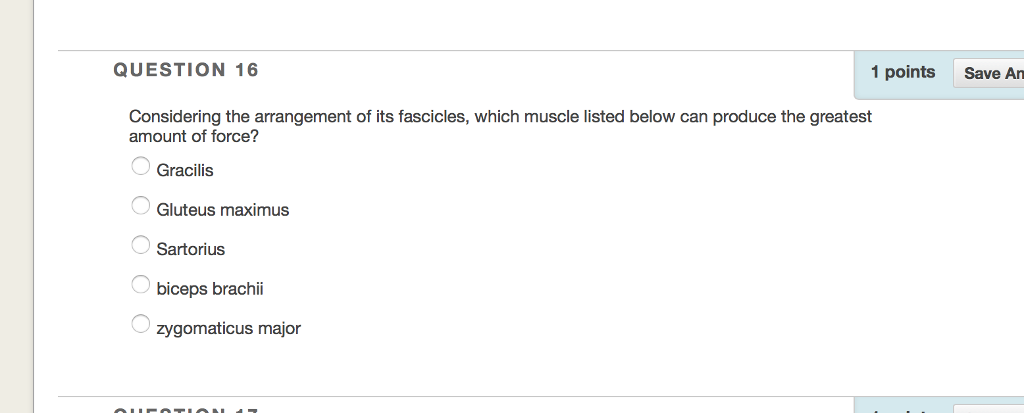 Solved QUESTION 16 1 points Save An Considering the | Chegg.com