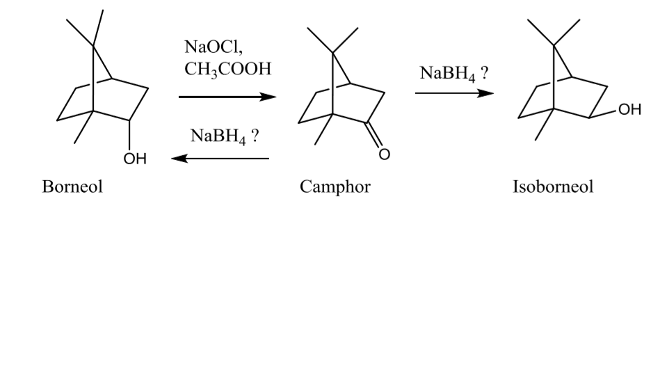 Solved In The OXIDATION OF BORNEOL & REDUCTION OF CAMPHOR | Chegg.com