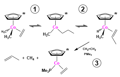 Solved Identify each step in the following mechanism. Some | Chegg.com