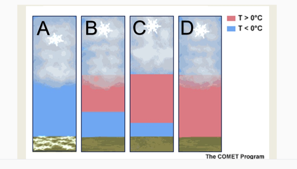 Solved Which of the following vertical temperature profiles | Chegg.com