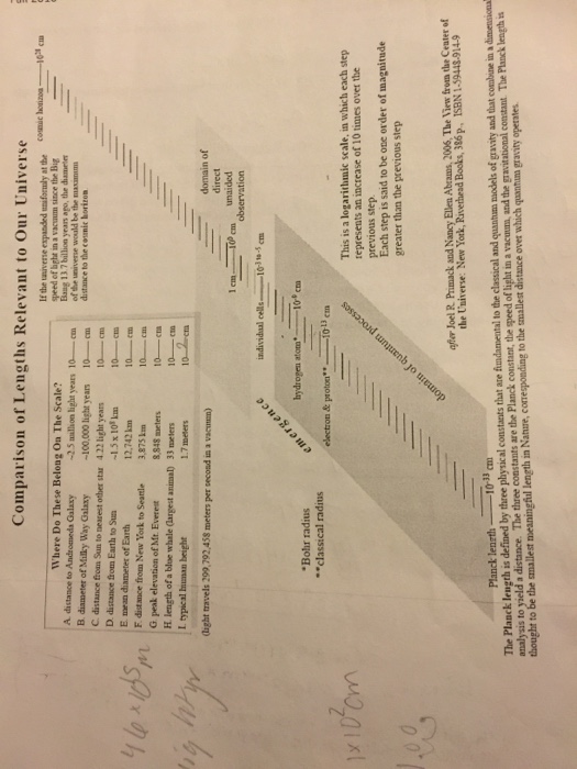 Solved Need Help Filling Out Chart As To Where Ginga Belong Chegg Com