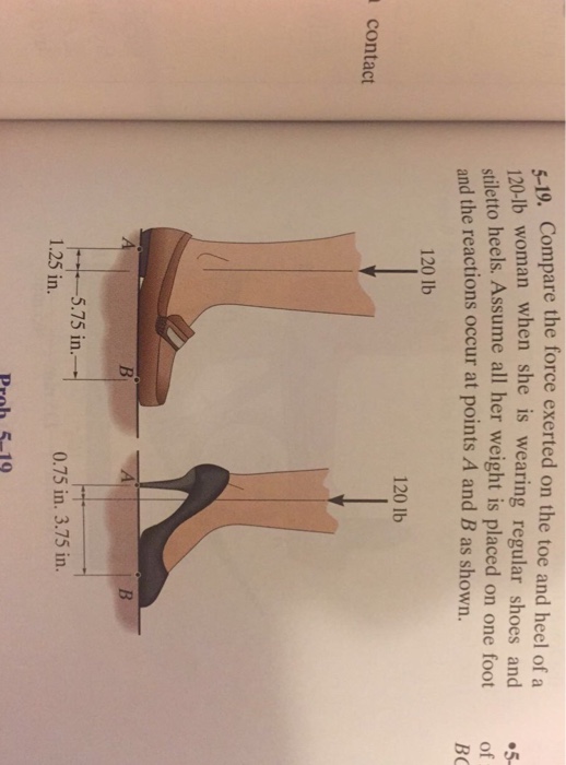 Solved Compare the force exerted on the toe and heel of a | Chegg.com
