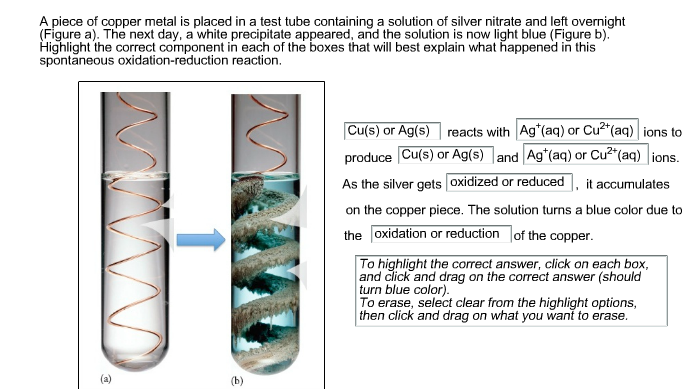 solved-a-piece-of-copper-metal-is-placed-in-a-test-tube-chegg