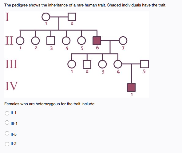 Solved The pedigree shows the inheritance of a rare human | Chegg.com