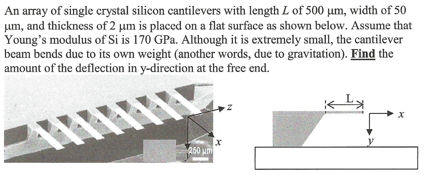 Solved An array single crystal silicon cantilevers with