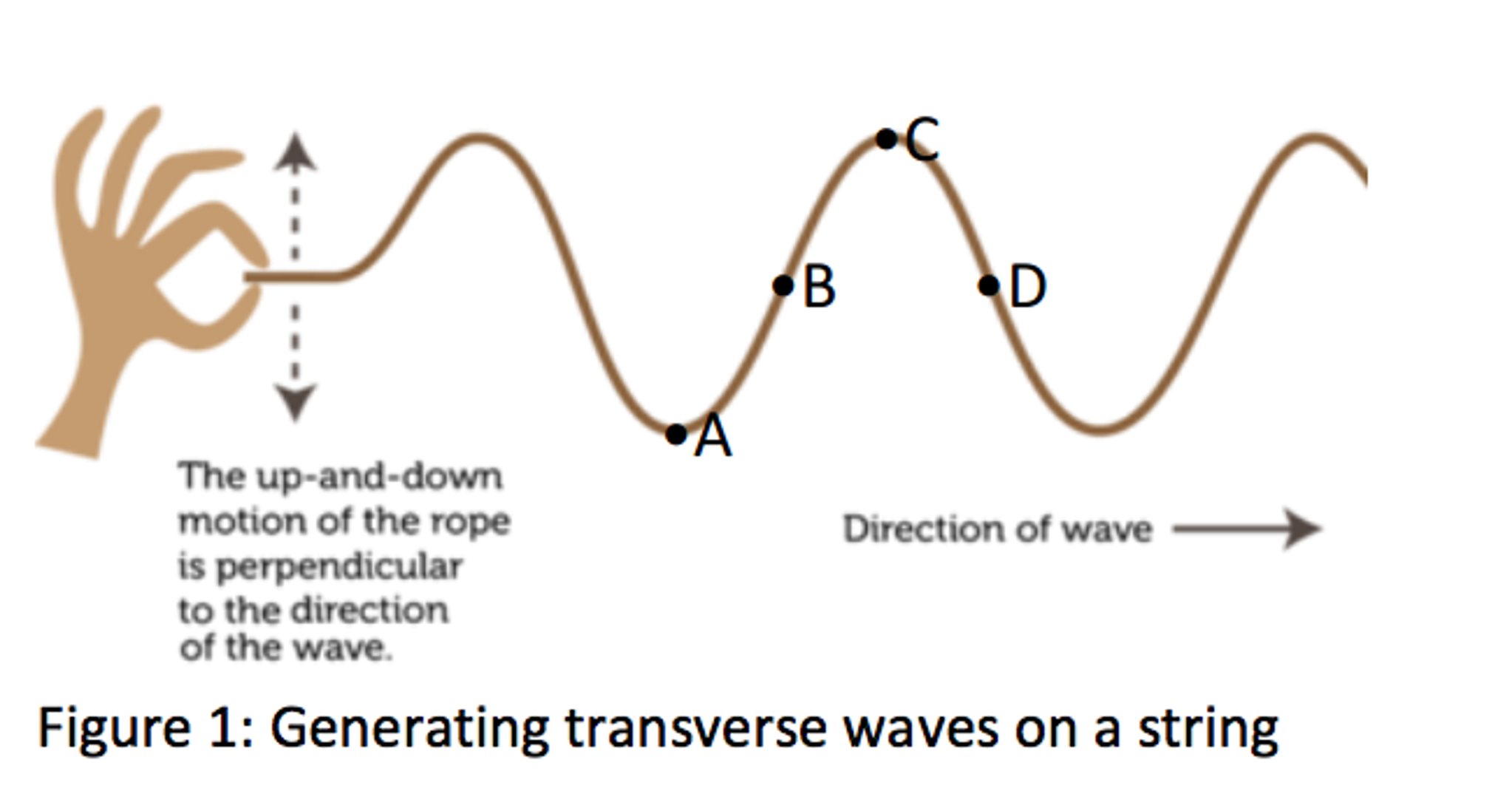 solved-regarding-the-transverse-wave-in-figure-1-what-are-chegg