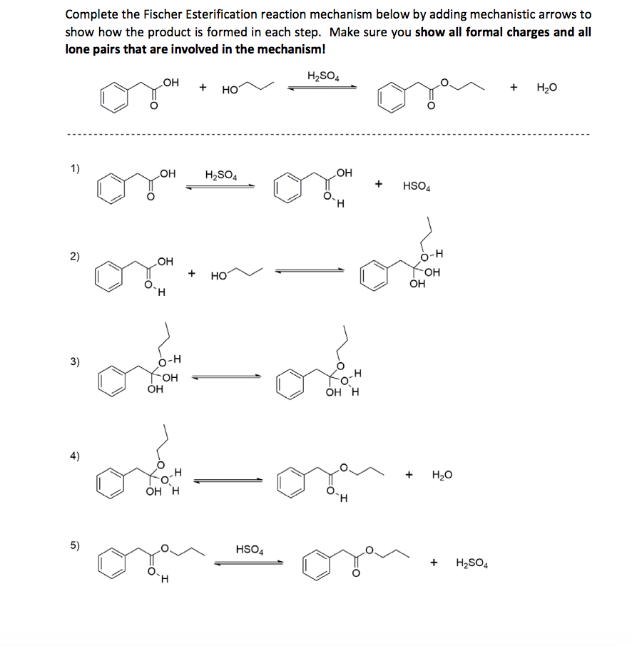 Solved Complete The Fischer Esterification Reaction 7726