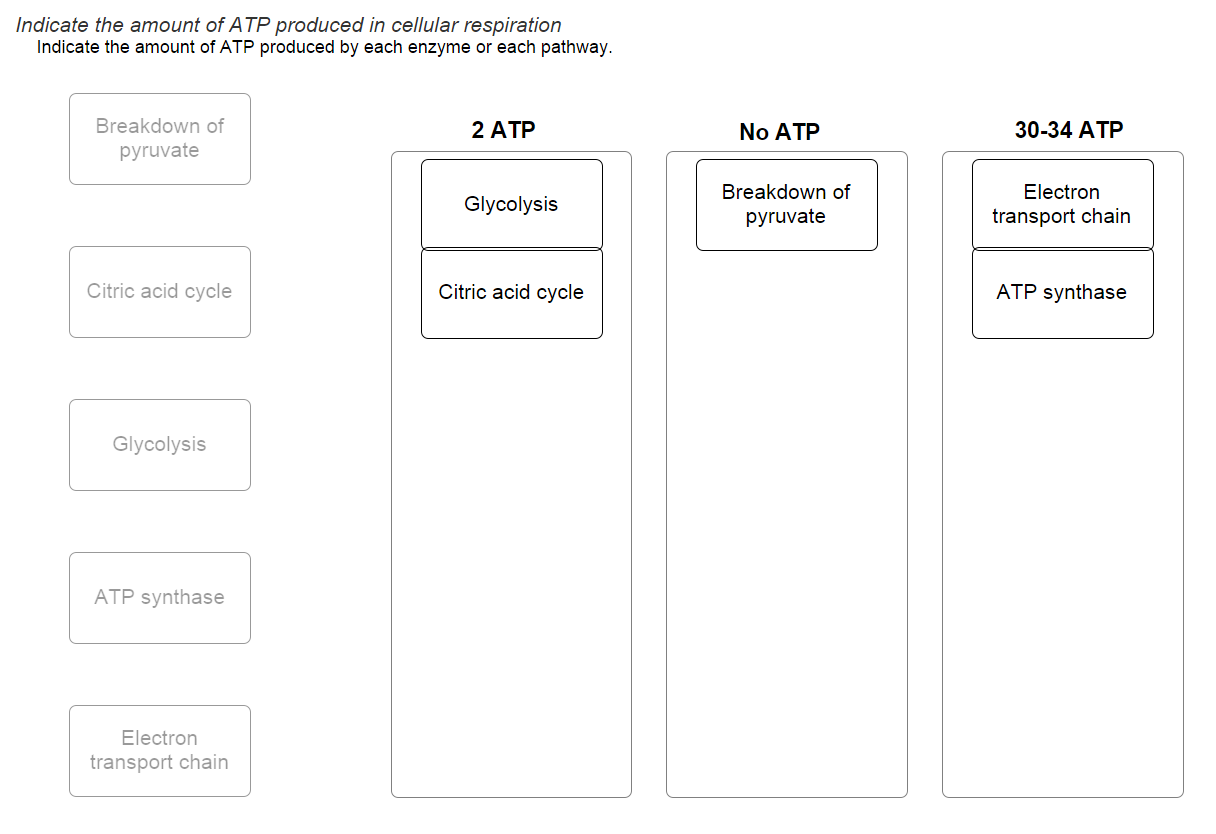 Solved Indicate the amount of A TP produced in cellular | Chegg.com