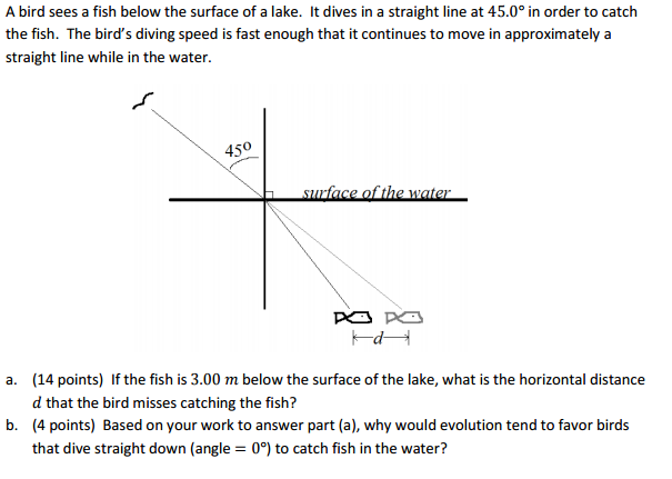 Solved A bird sees a fish below the surface of a lake. It | Chegg.com