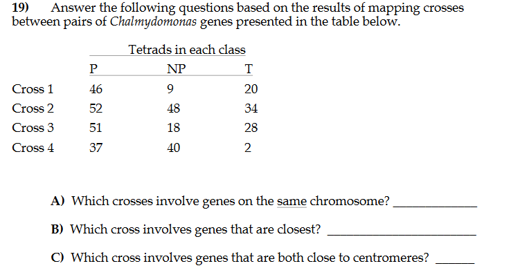 Solved Answer the following questions based on the results | Chegg.com