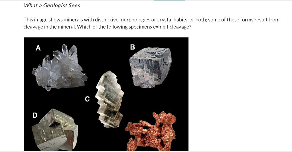 Solved What a Geologist Sees This image shows minerals | Chegg.com