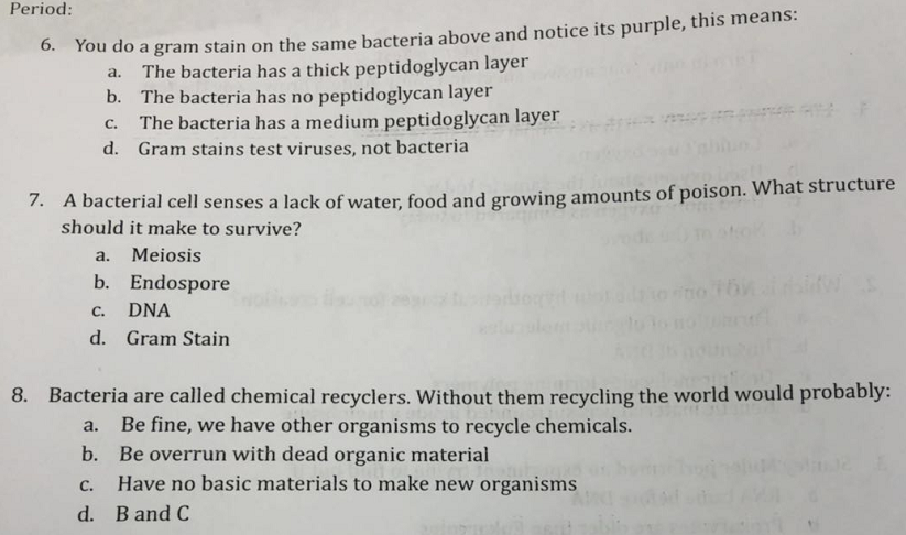 Solved Period: 6. You do a gram stain on the same bacteria | Chegg.com