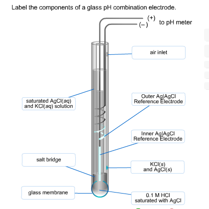 Solved Label the components of a glass pH combination | Chegg.com