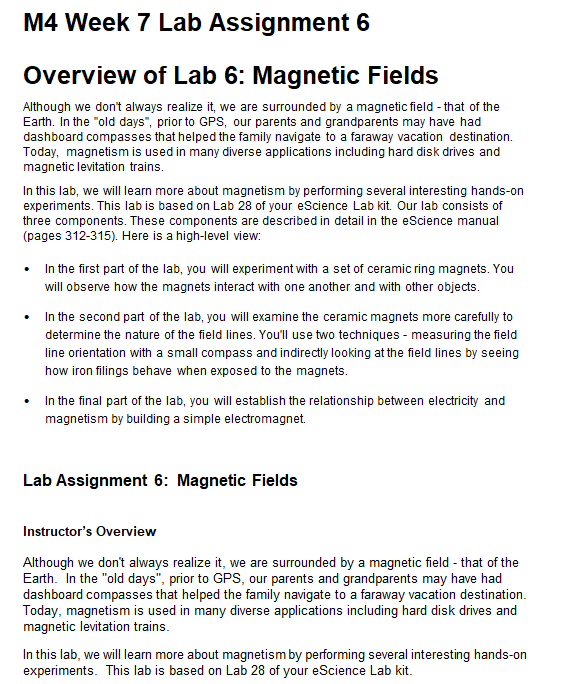 lab magnetic and electric fields assignment lab report active