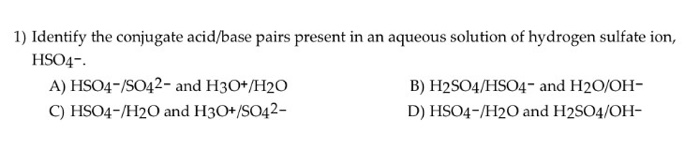 Solved: Identify The Conjugate Acid/base Pairs Present In | Chegg.com