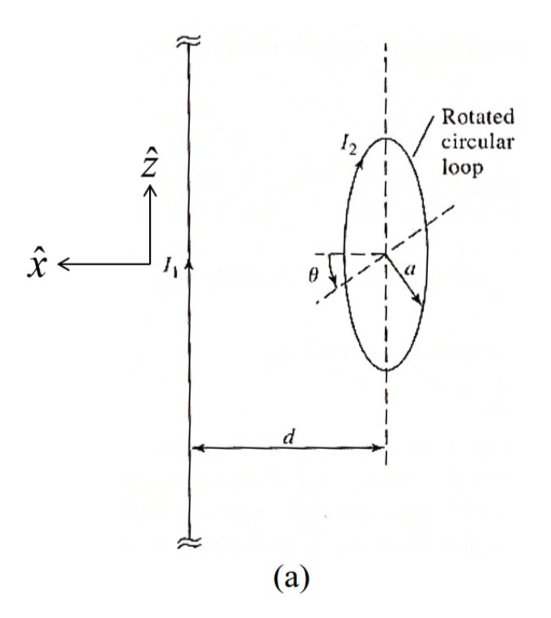 A circular loop is placed near a z-directed | Chegg.com