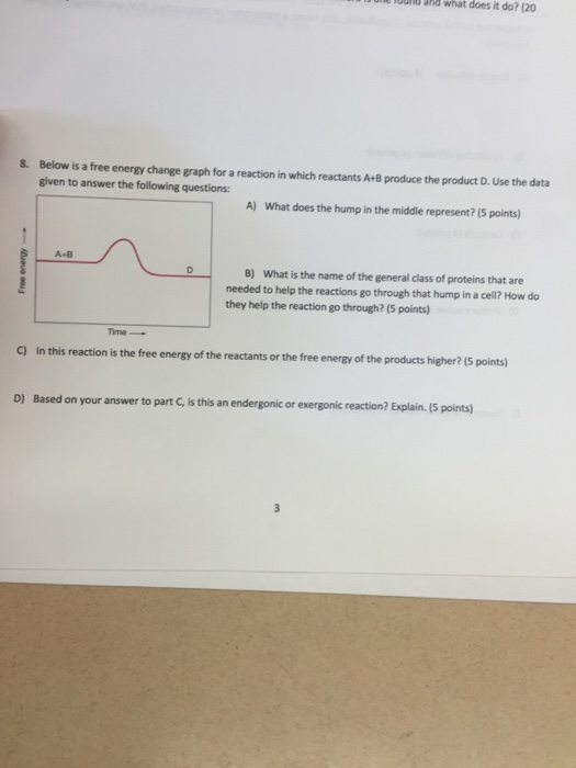 Solved Below is a free energy change graph for a reaction in | Chegg.com