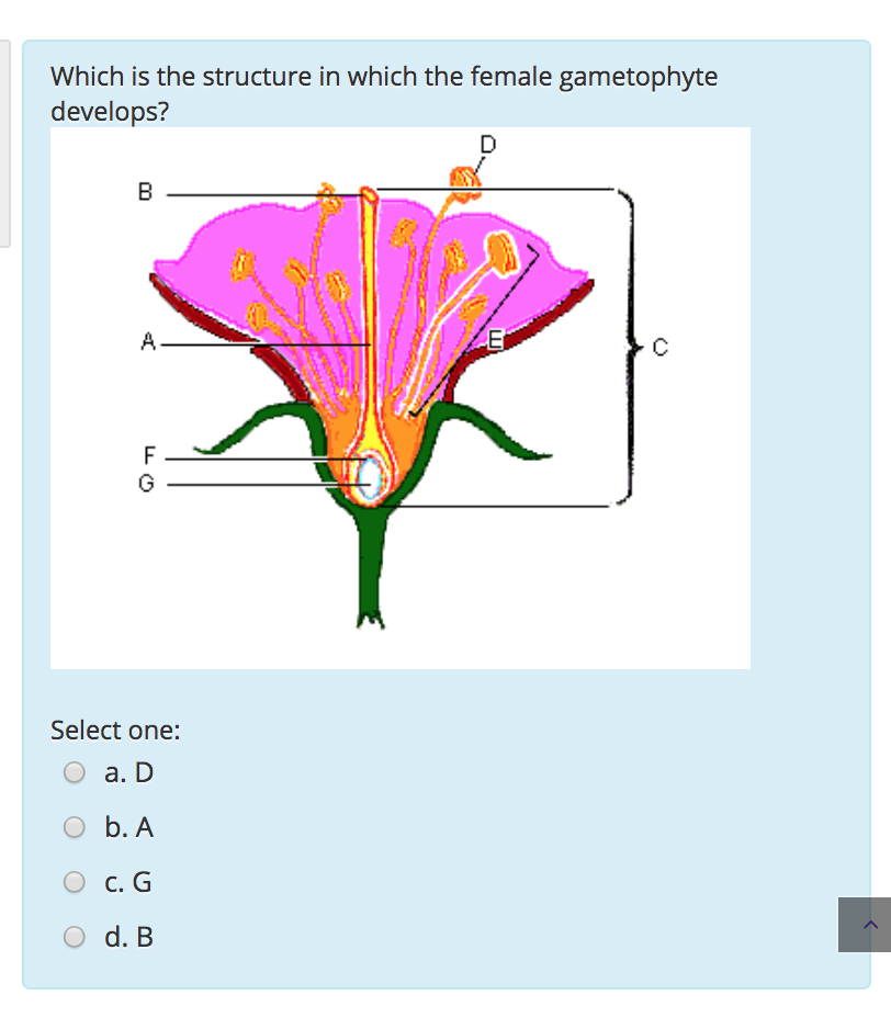 solved-which-is-the-structure-in-which-the-female-chegg