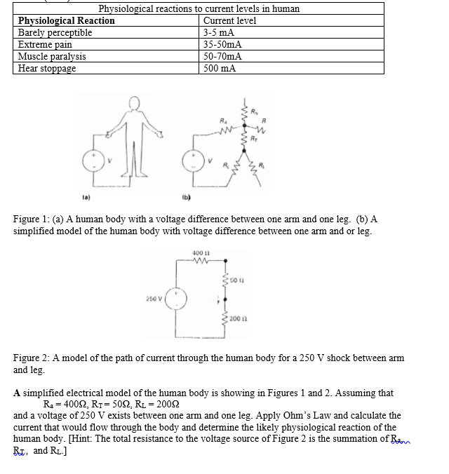 Solved A human body with a voltage difference between one
