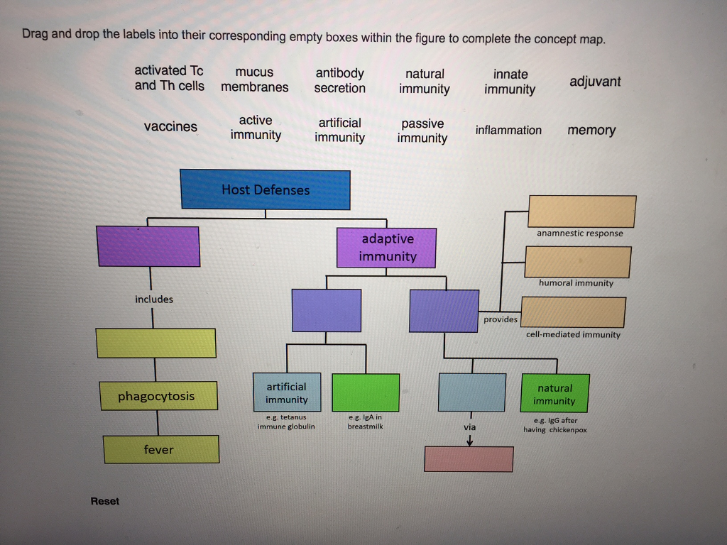 Biology Archive February 20, 2017