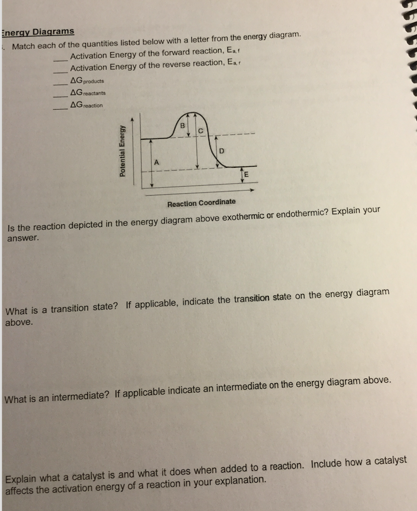 Solved Energy Diagrams Match each of the quantities listed | Chegg.com