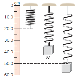 Spring Hanging Scale Drawing Solved The drawing shows three identical springs hanging | Chegg.com