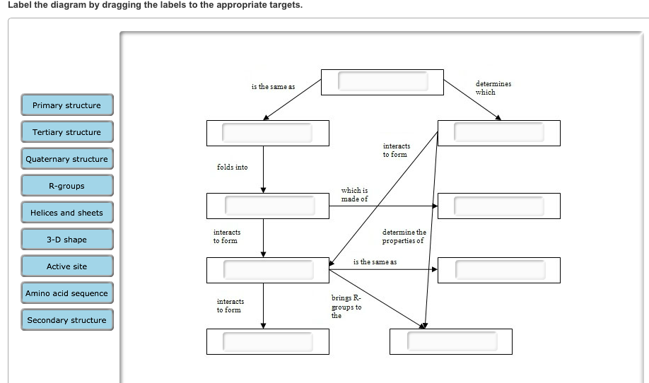 Solved Label the diagram by dragging the labels to the | Chegg.com