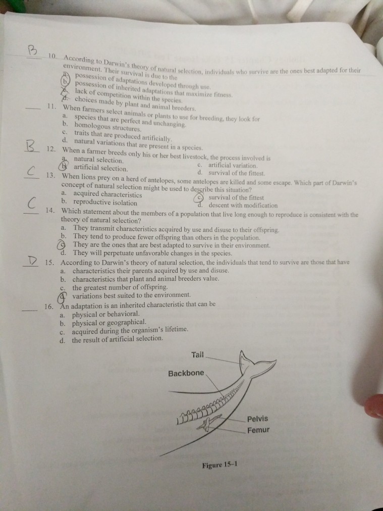 91 Animal Adaptation Questions And Answers Psikyolalola