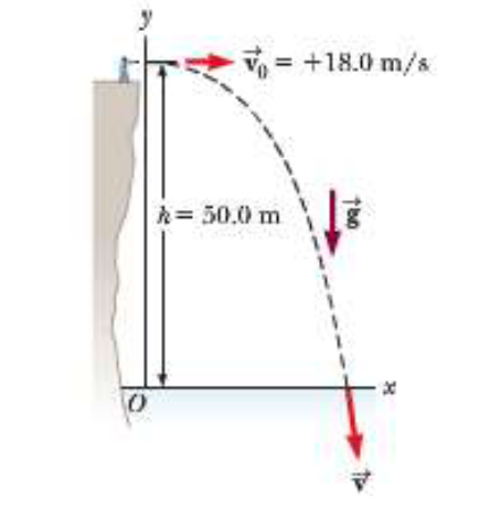 Solved A student stands at the edge of a cliff and throws a | Chegg.com