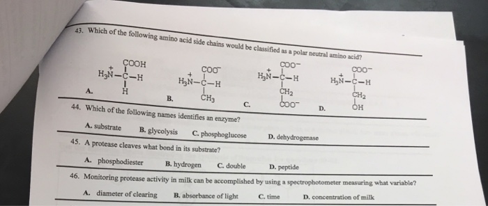 Solved Which of the following amino acid side chains would | Chegg.com