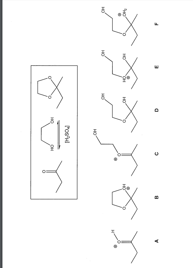 solved-what-is-the-correct-order-of-these-intermediates-in-chegg