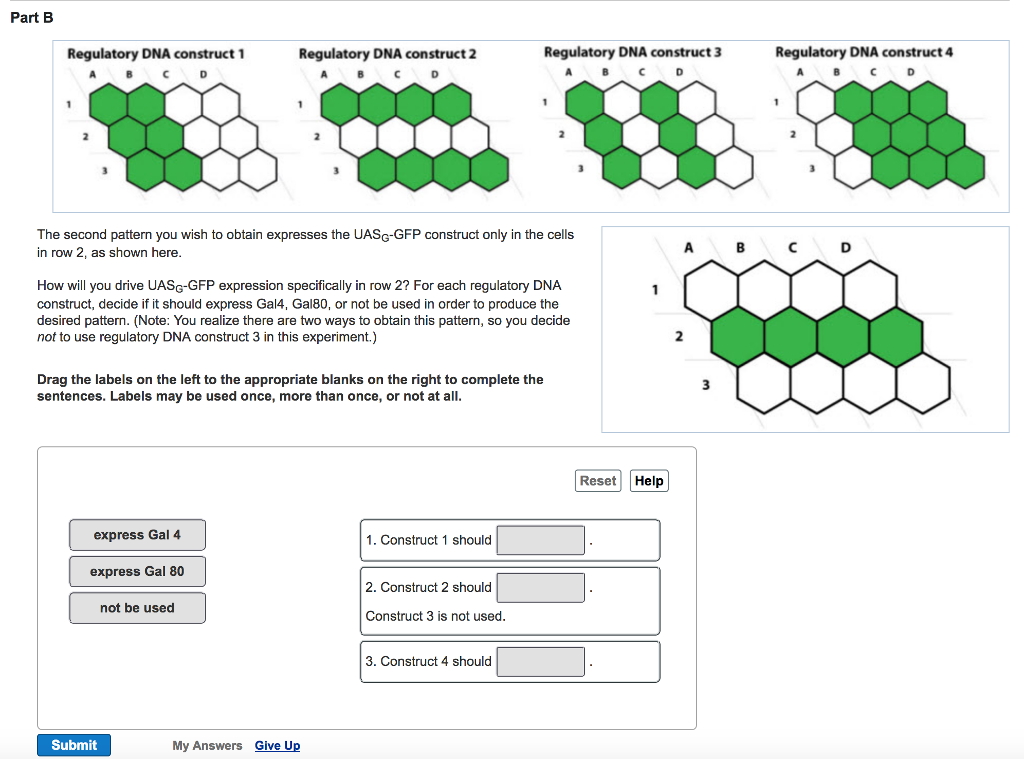 Solved The second pattern you wish to obtain expresses the | Chegg.com