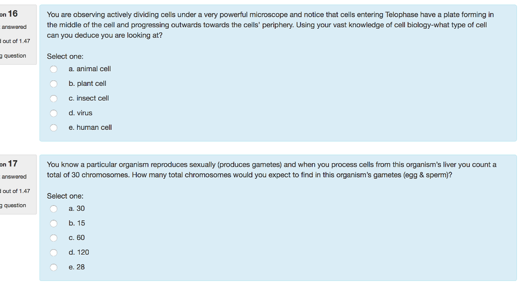 Solved You are observing actively dividing cells under a | Chegg.com